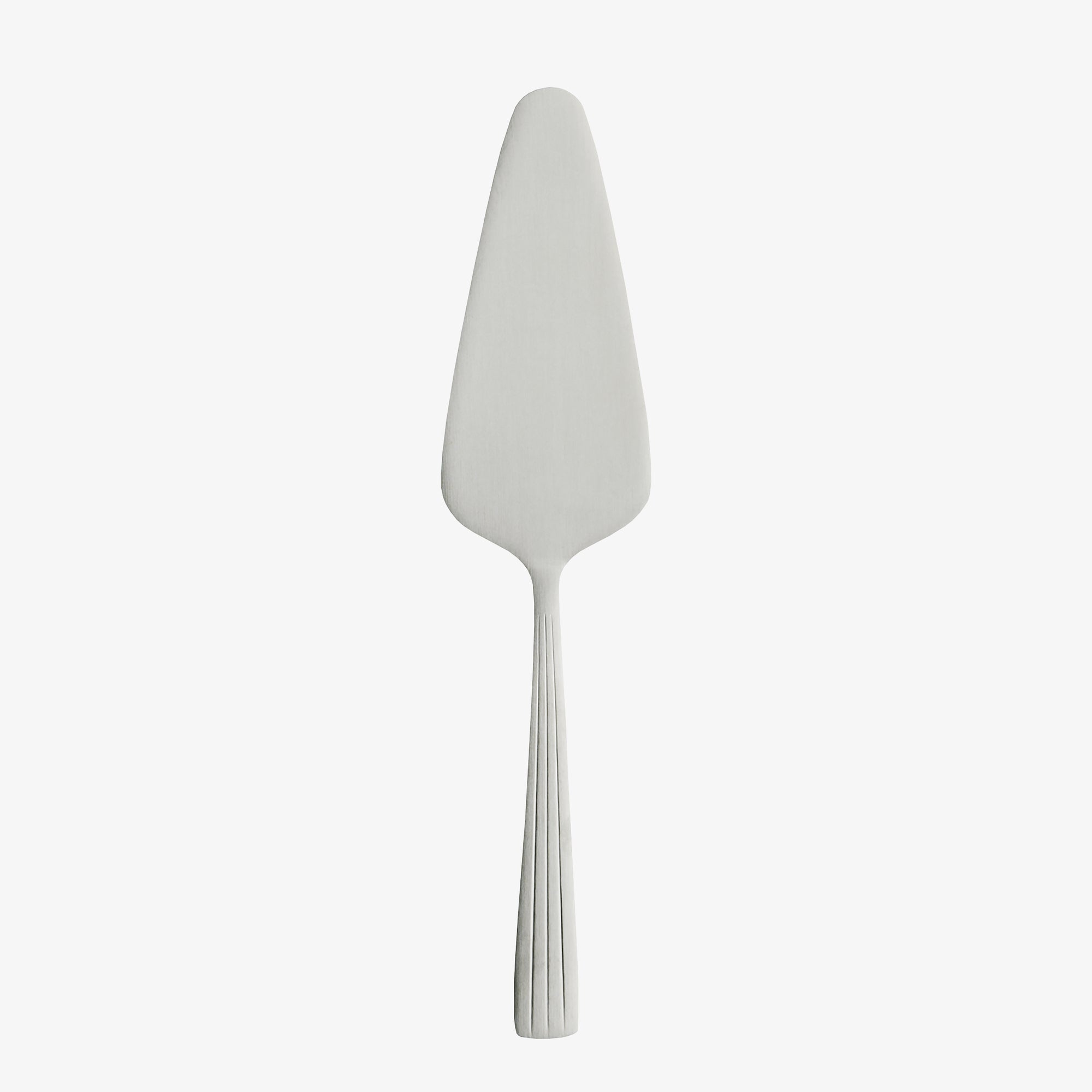 RAW cakeserver | Matte Steel