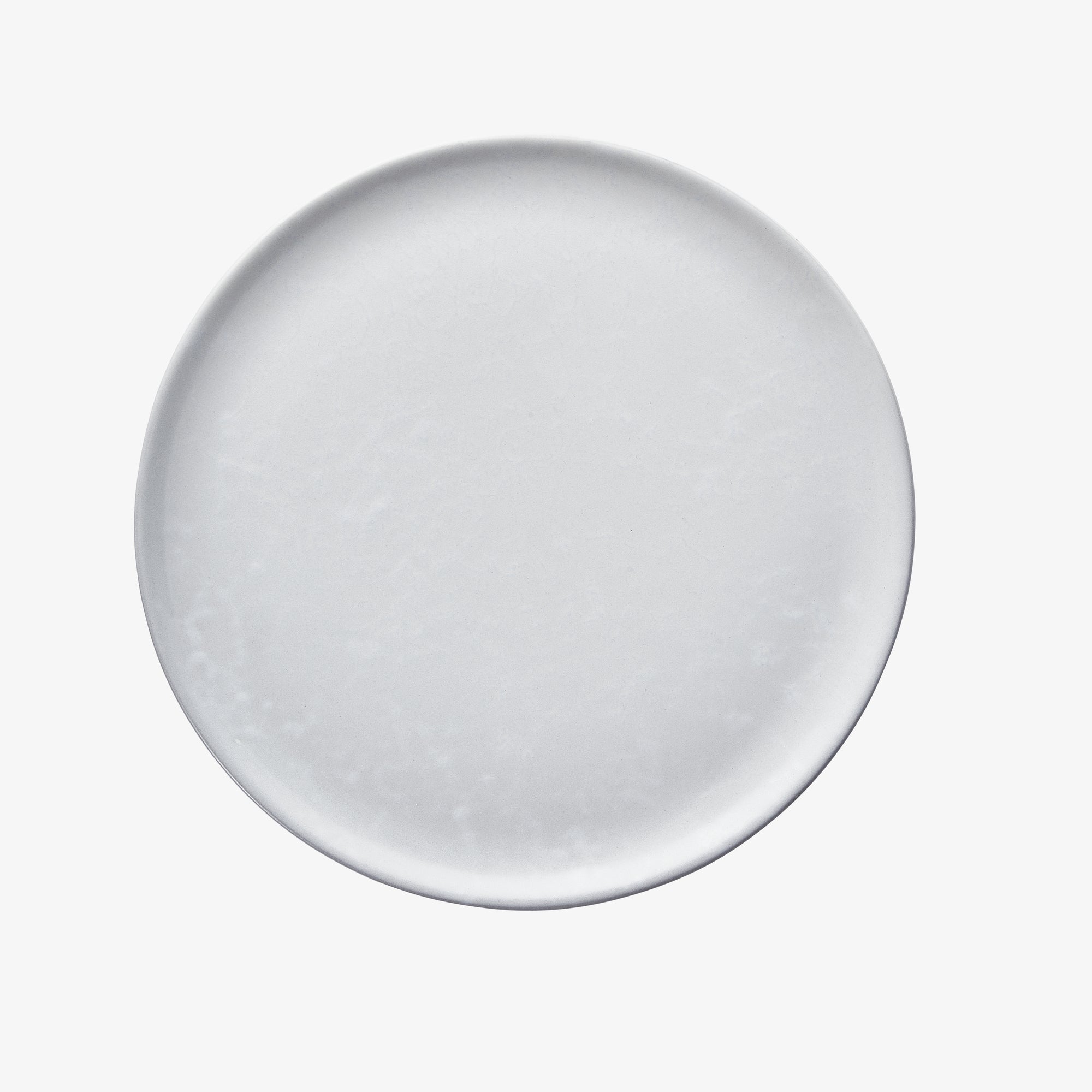 RAW dinner plate | Arctic White