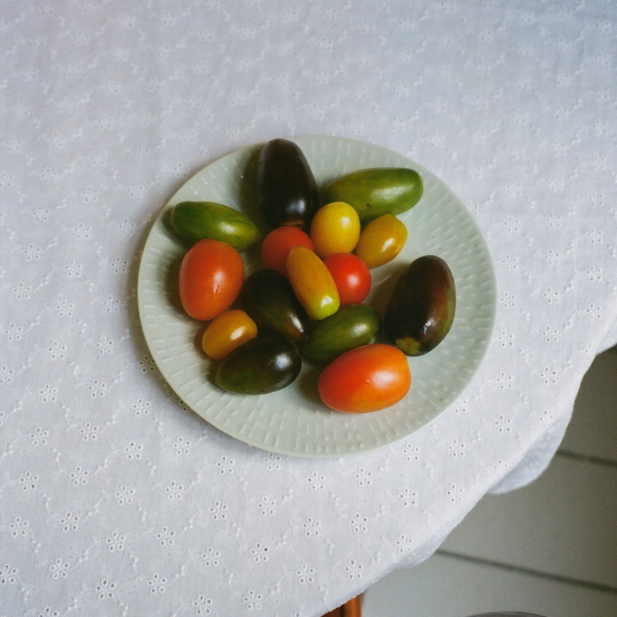 Confetti dessert plate | Pistachio