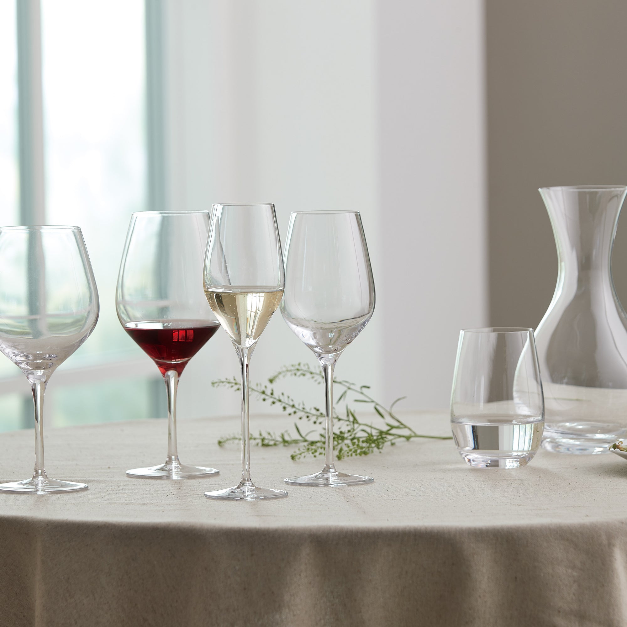Passion Connoisseur - for brighther red wine 2 pcs | Clear