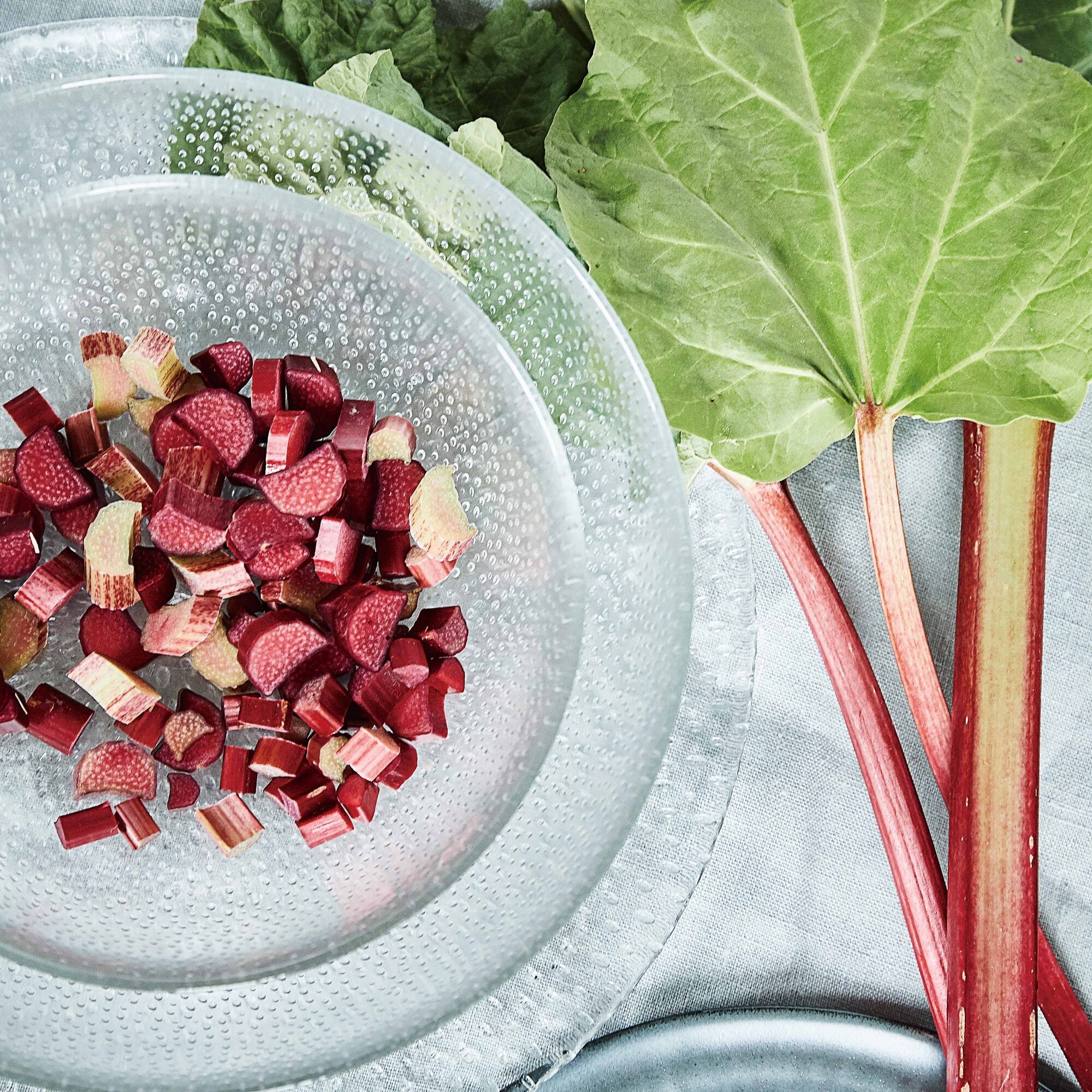 RAW Glass Beads bowl 20.5 cm | Clear