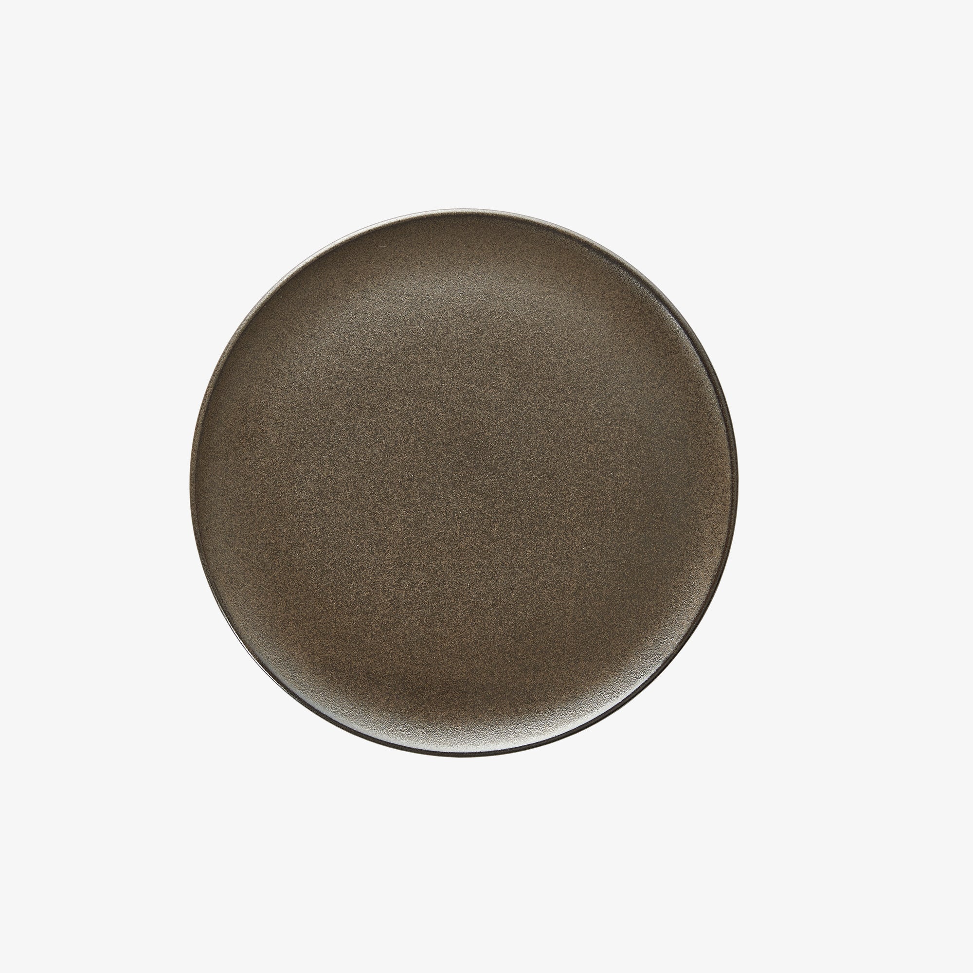 RAW lunch plate | Metallic Brown