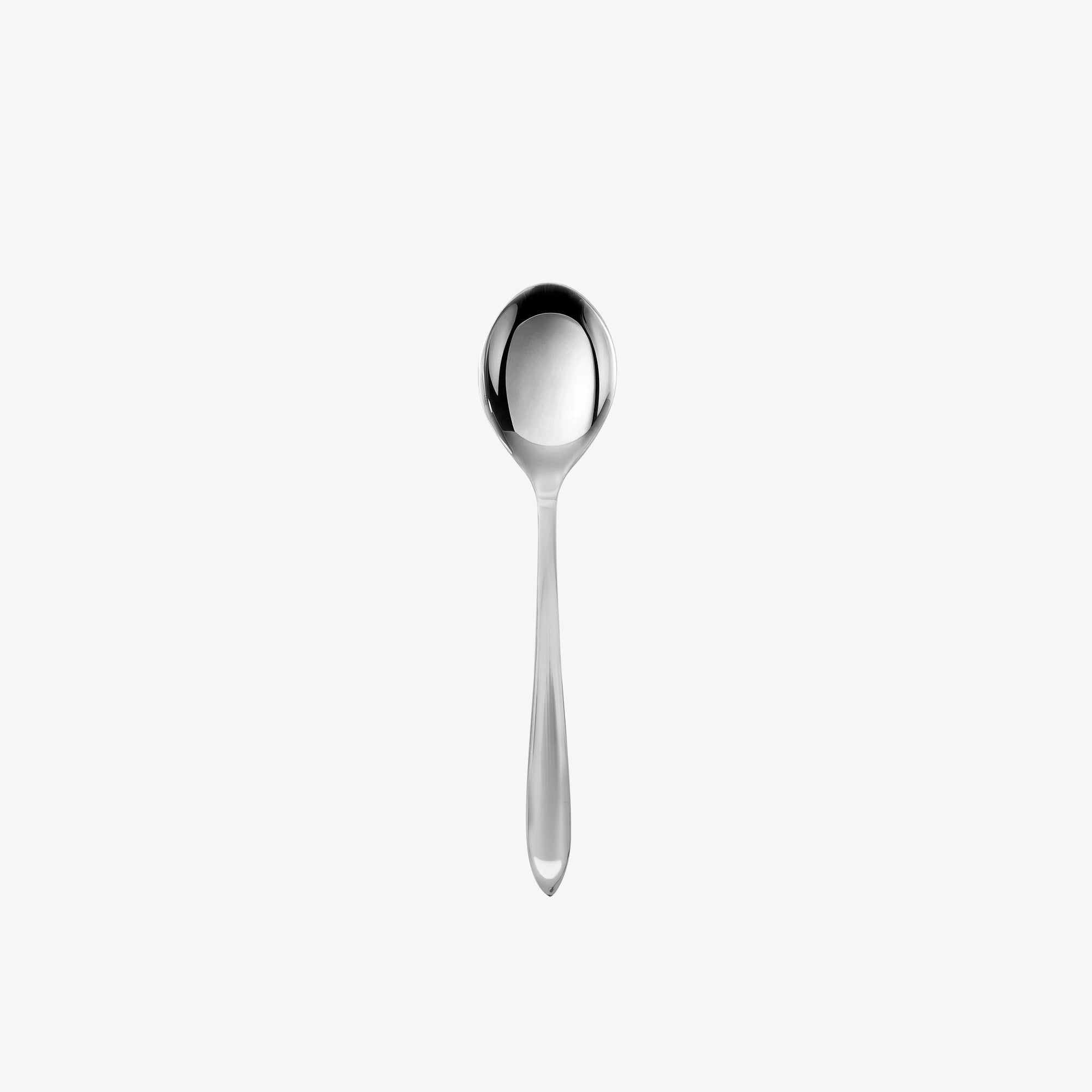 Gastro lunch / dessert spoon | Mirror Polish