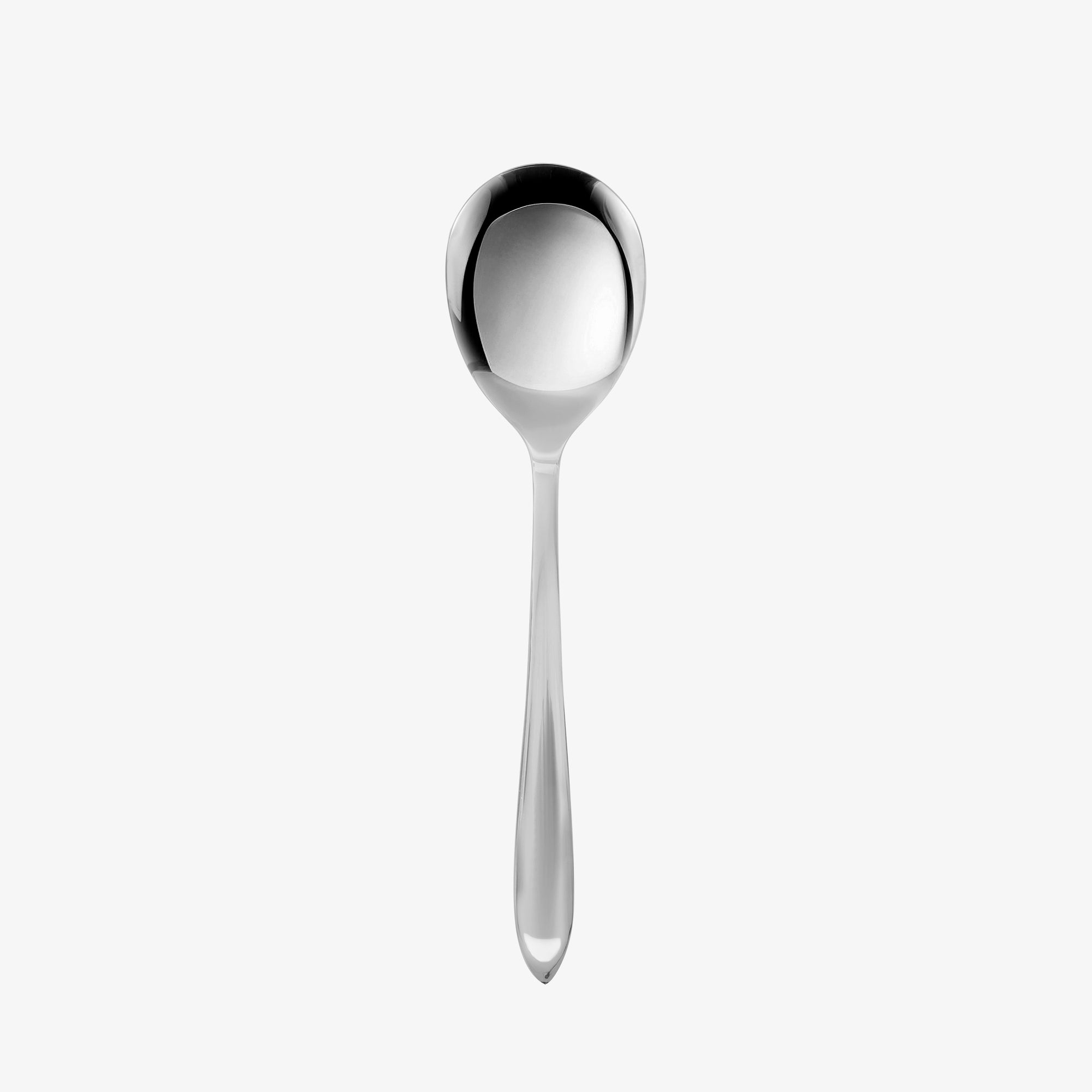 Gastro serving spoon | Mirror Polish