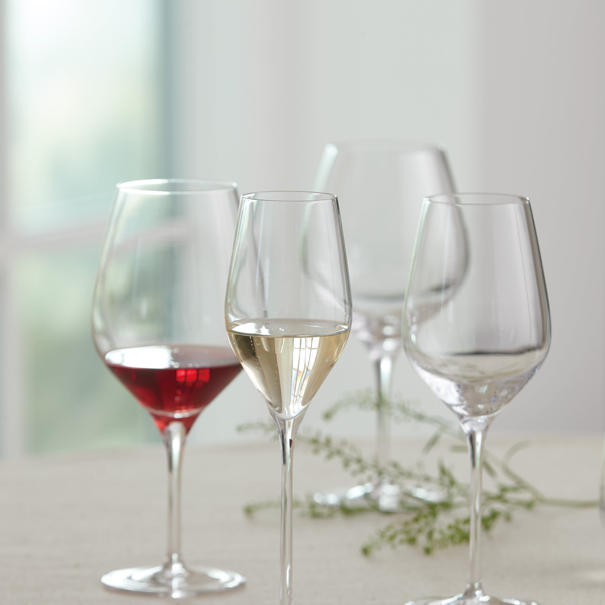 Passion Connoisseur - for powerfull dark redwine 2 pcs | Clear