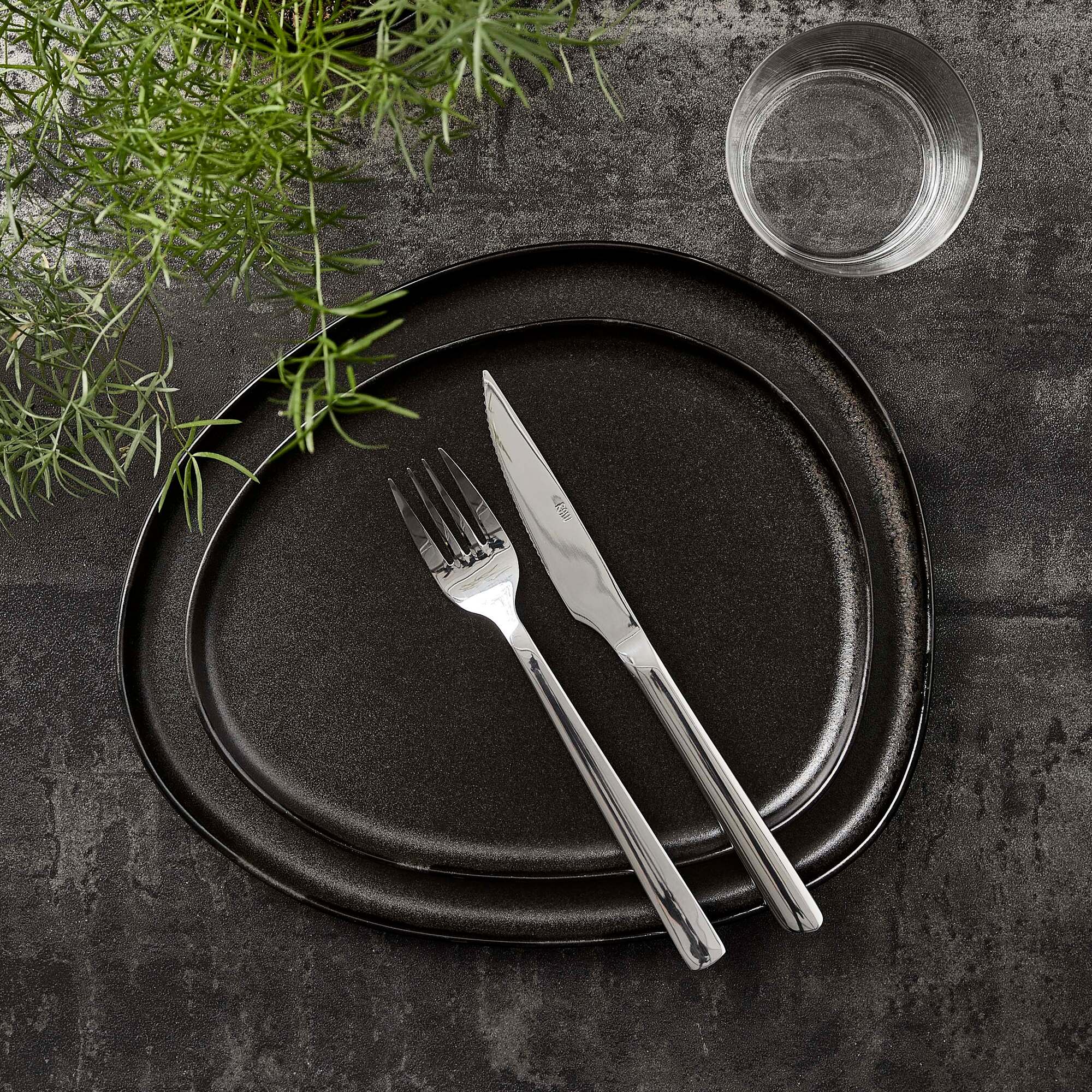RAW Organic lunch plate | Titanium Black